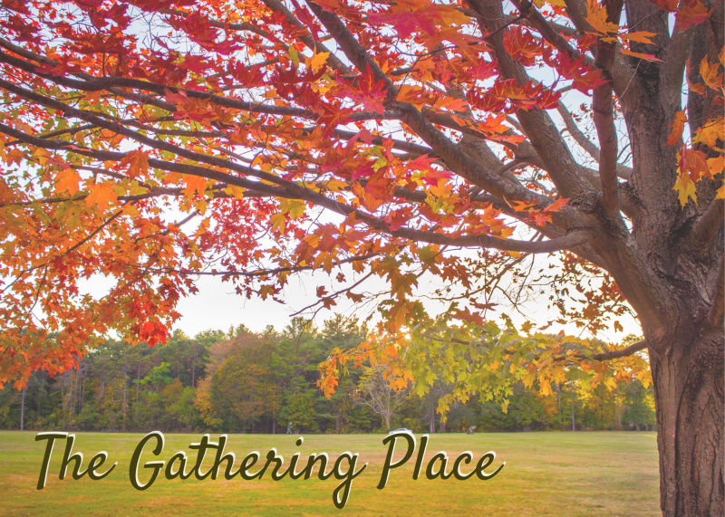 A field with a red tree, and text reading 'The Gathering Place'