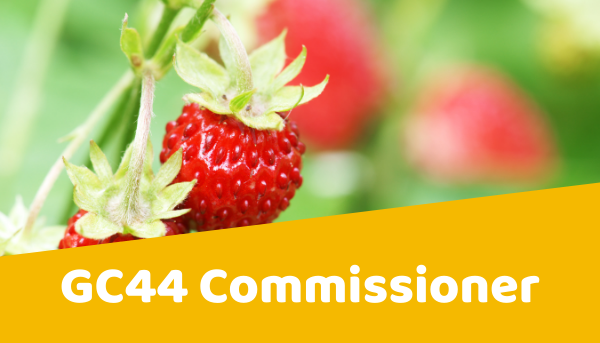 JotForm-GM-2021-General-Council-Commissioner-Nomination