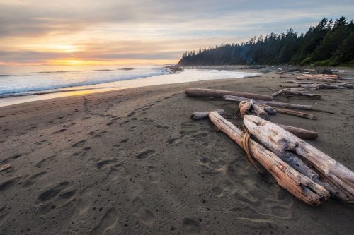 Photo of footsteps in sand by James Wheeler.