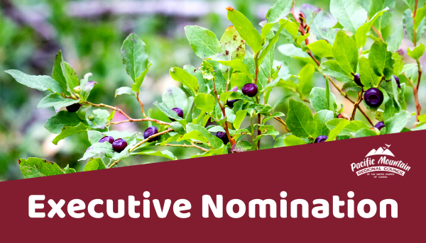 JotForm-GM-2021-Executive-Nomination