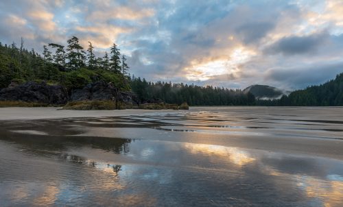 Photo of forested beachfront by James Wheeler from pexels.